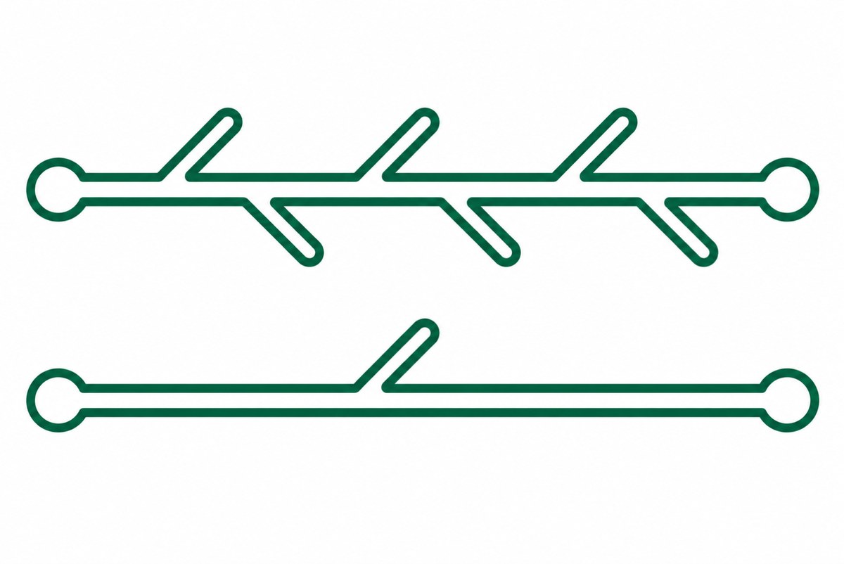 分かれ道の数が違う同じ長さの二本道の図